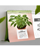 Kalender