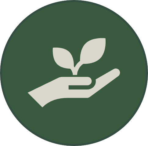 Icon Pflanze in Hand